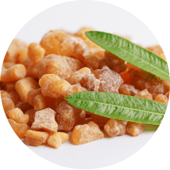 Boswellia serrata